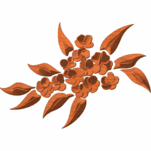 Flowers 01