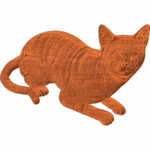 Cat lying