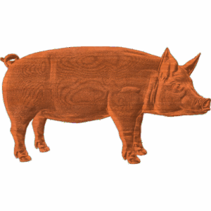 Pig
