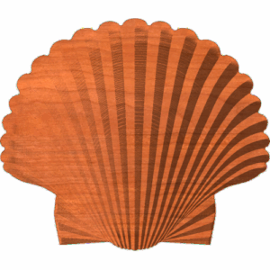 Scallop Shell