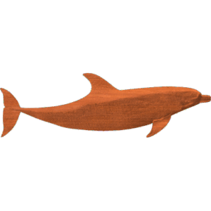 Bottlenose Dolphin