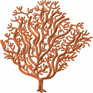 Lace Coral