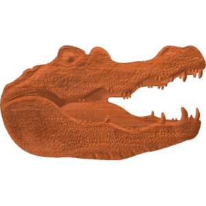 Gator Head