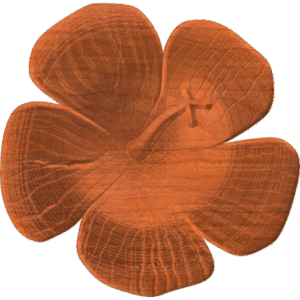 Abelmoschus Flower