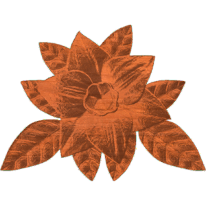 Starflower Cluster