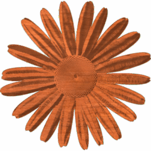 Flower-1_Daisy