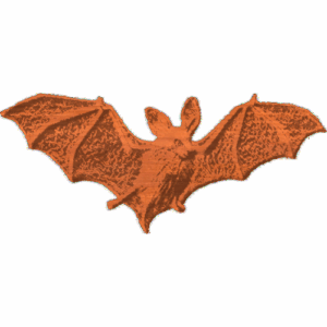 Bat-CL