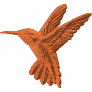 Hummingbird-CL