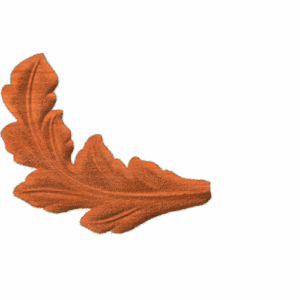 Leaf1 - CL