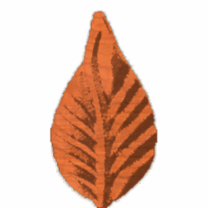 Leaf5 - CL