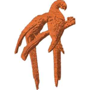 Parrots-CL