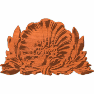 Shell-100