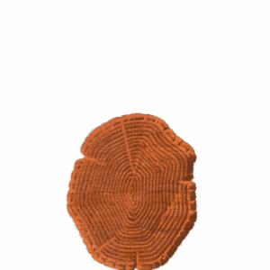Cut Log