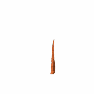 Fishing knife