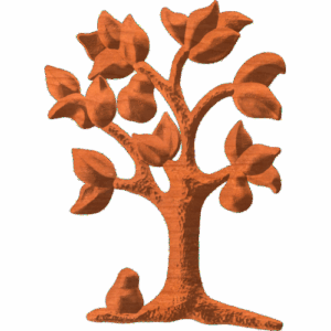 Pear Tree