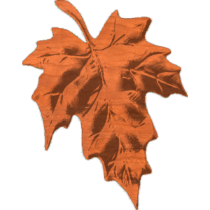 Curled Maple Leaf
