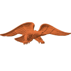 AMERICAN EAGLE