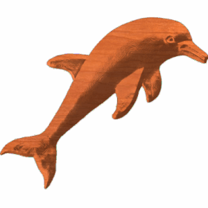 Jumping Dolphin