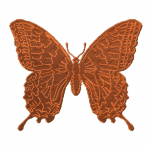 Butterfly 02