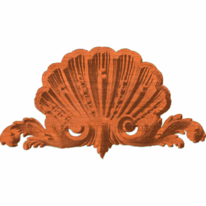 Shell 015