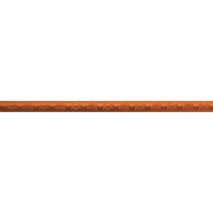 Trunk Trim