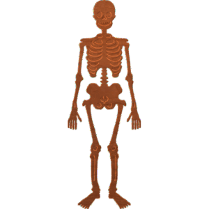 Scary Halloween Skeleton 004 A 