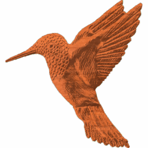 Hummingbird - 242