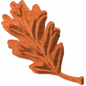 Southern Oakleaf