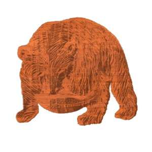 Southern Bear with Trout