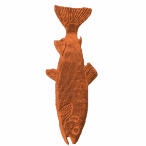 Flat Trout - KW