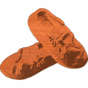 Moccasins