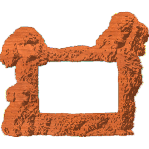 PoodleFrame