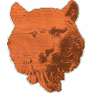 Tiger Head