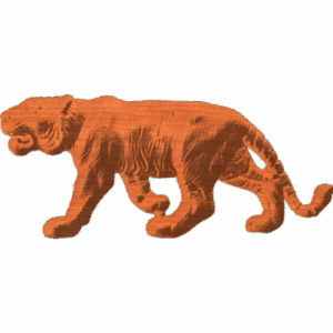 Tiger Profile