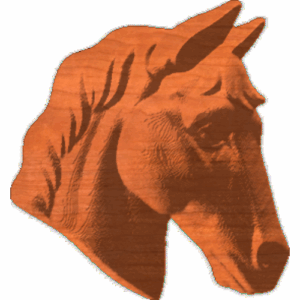 Horse Profile