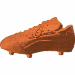 Soccer Shoe