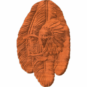 IndianEagleOnFeathers