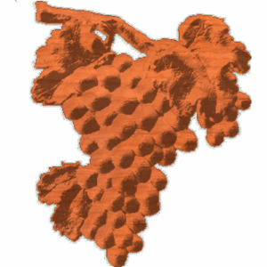 Grape Vine 1