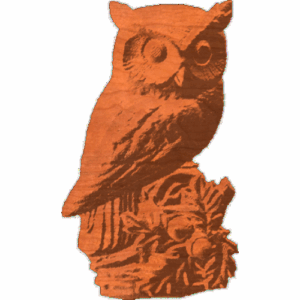OwlOnAccornBranch