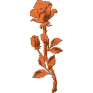 RoseStem