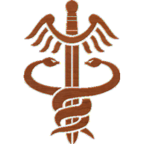 Army Medical Corp 001
