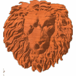 LionHeadForwardLooking