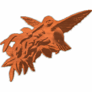 HummingbirdGroup2