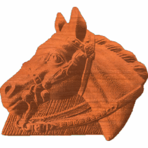 Horse With Bridle