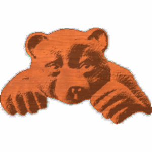 BearLookingOverTop
