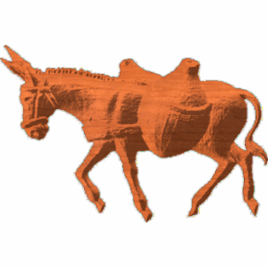 DonkeyBurro