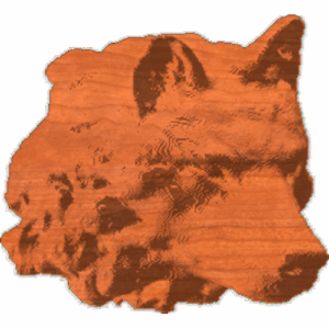 Wolf Head