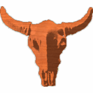 LongHornSkull
