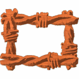 BarbedWireFrame