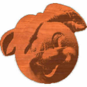 Happy Orange